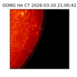 gong - 2026-03-10T21:00:42