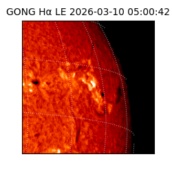 gong - 2026-03-10T05:00:42