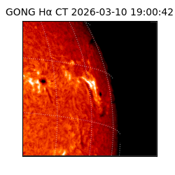 gong - 2026-03-10T19:00:42