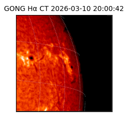 gong - 2026-03-10T20:00:42