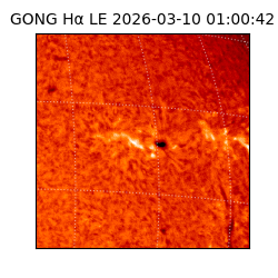 gong - 2026-03-10T01:00:42