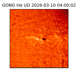 gong - 2026-03-10T04:00:02