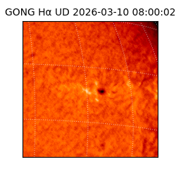 gong - 2026-03-10T08:00:02