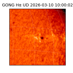 gong - 2026-03-10T10:00:02