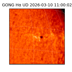 gong - 2026-03-10T11:00:02