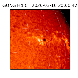 gong - 2026-03-10T20:00:42