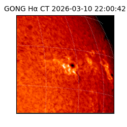 gong - 2026-03-10T22:00:42