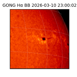 gong - 2026-03-10T23:00:02