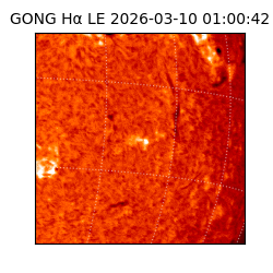 gong - 2026-03-10T01:00:42