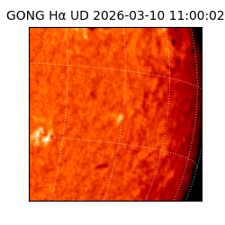 gong - 2026-03-10T11:00:02