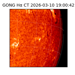 gong - 2026-03-10T19:00:42