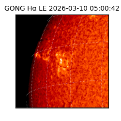 gong - 2026-03-10T05:00:42