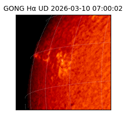 gong - 2026-03-10T07:00:02