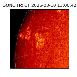 gong - 2026-03-10T13:00:42