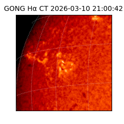 gong - 2026-03-10T21:00:42