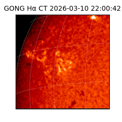gong - 2026-03-10T22:00:42