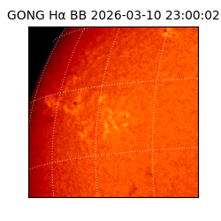 gong - 2026-03-10T23:00:02