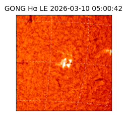 gong - 2026-03-10T05:00:42