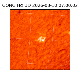 gong - 2026-03-10T07:00:02