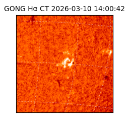 gong - 2026-03-10T14:00:42