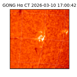 gong - 2026-03-10T17:00:42