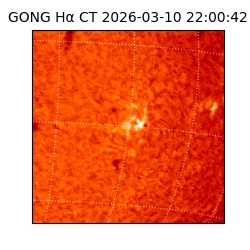 gong - 2026-03-10T22:00:42