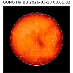 gong - 2026-03-10T00:01:02