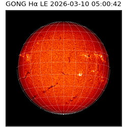 gong - 2026-03-10T05:00:42