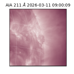 saia - 2026-03-11T09:00:09.630000