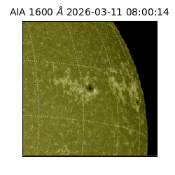 saia - 2026-03-11T08:00:14.123000