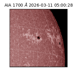 saia - 2026-03-11T05:00:28.446000