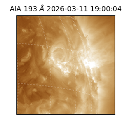 saia - 2026-03-11T19:00:04.842000