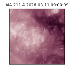 saia - 2026-03-11T09:00:09.630000