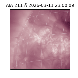 saia - 2026-03-11T23:00:09.624000