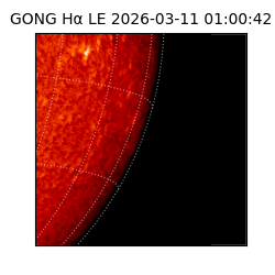 gong - 2026-03-11T01:00:42