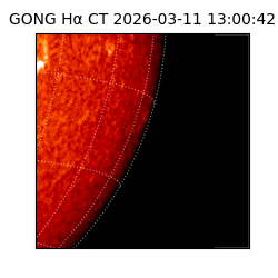 gong - 2026-03-11T13:00:42