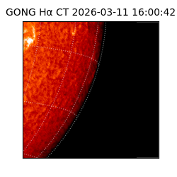 gong - 2026-03-11T16:00:42