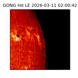 gong - 2026-03-11T02:00:42