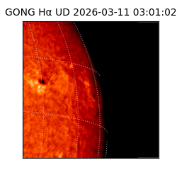 gong - 2026-03-11T03:01:02