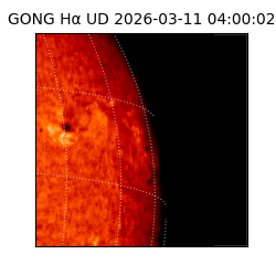 gong - 2026-03-11T04:00:02