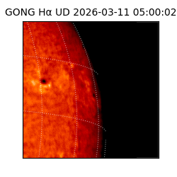 gong - 2026-03-11T05:00:02