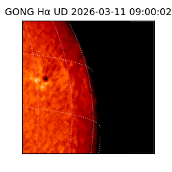 gong - 2026-03-11T09:00:02