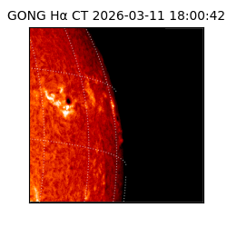 gong - 2026-03-11T18:00:42