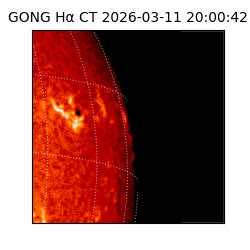 gong - 2026-03-11T20:00:42
