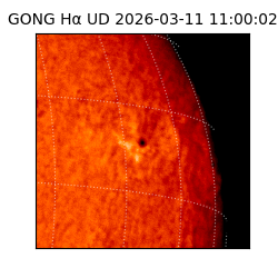 gong - 2026-03-11T11:00:02
