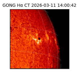 gong - 2026-03-11T14:00:42