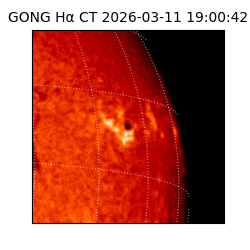 gong - 2026-03-11T19:00:42