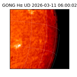 gong - 2026-03-11T06:00:02