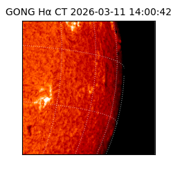 gong - 2026-03-11T14:00:42