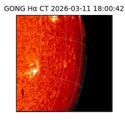 gong - 2026-03-11T18:00:42